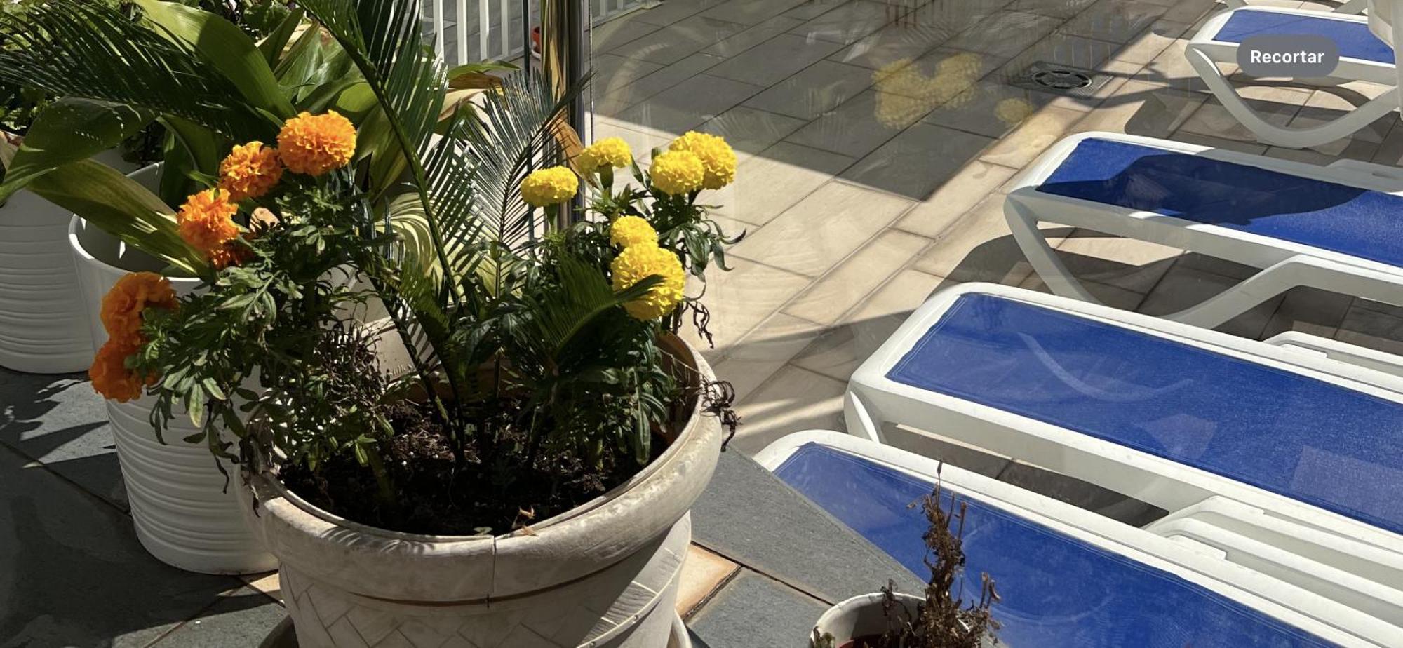 Ancla Real Apartamentos Loft El Puerto de Santa María Eksteriør bilde