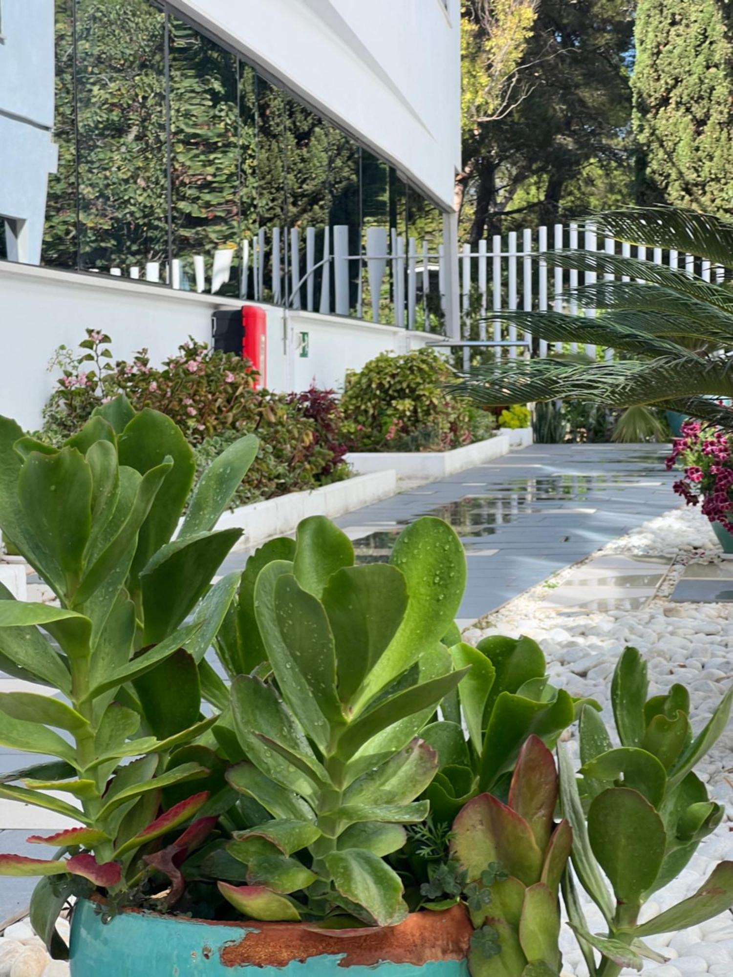 Ancla Real Apartamentos Loft El Puerto de Santa María Eksteriør bilde