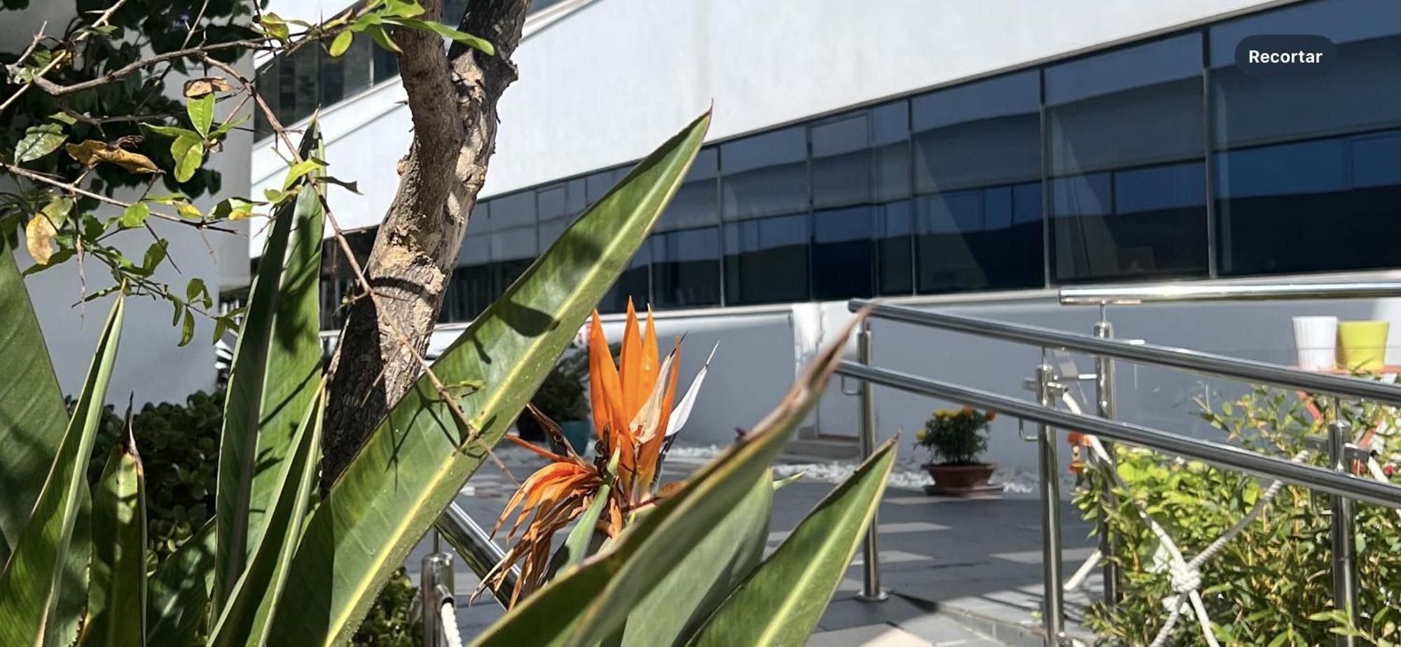 Ancla Real Apartamentos Loft El Puerto de Santa María Eksteriør bilde