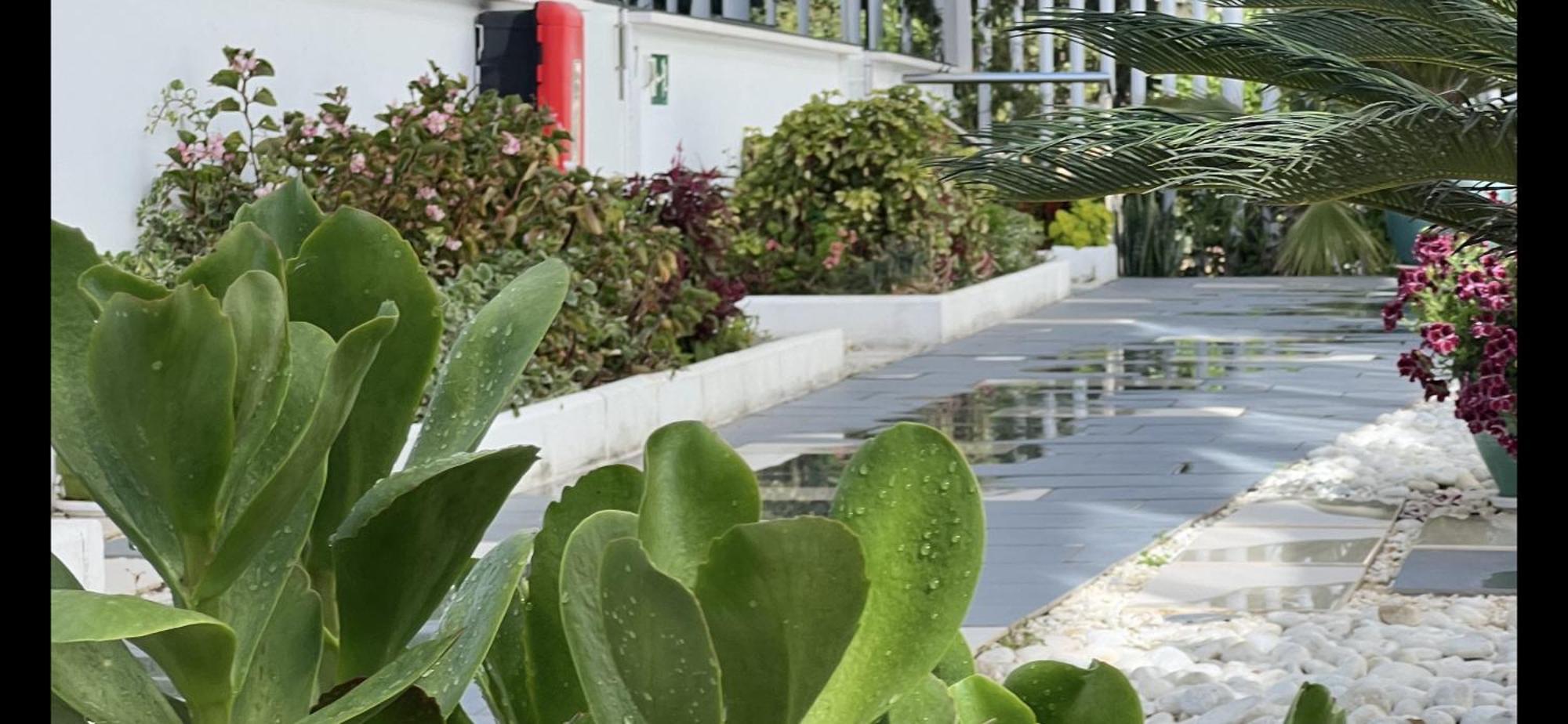 Ancla Real Apartamentos Loft El Puerto de Santa María Eksteriør bilde