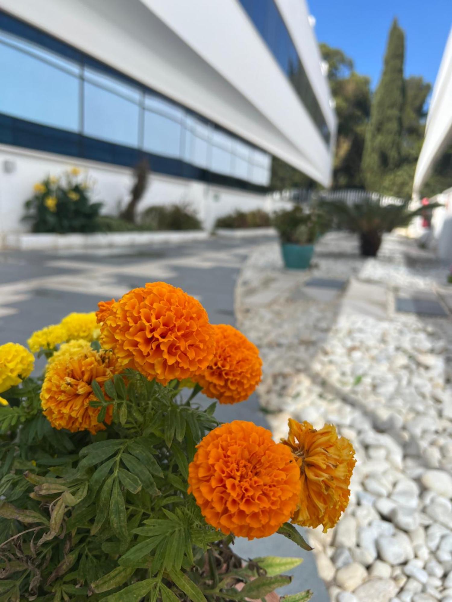 Ancla Real Apartamentos Loft El Puerto de Santa María Eksteriør bilde