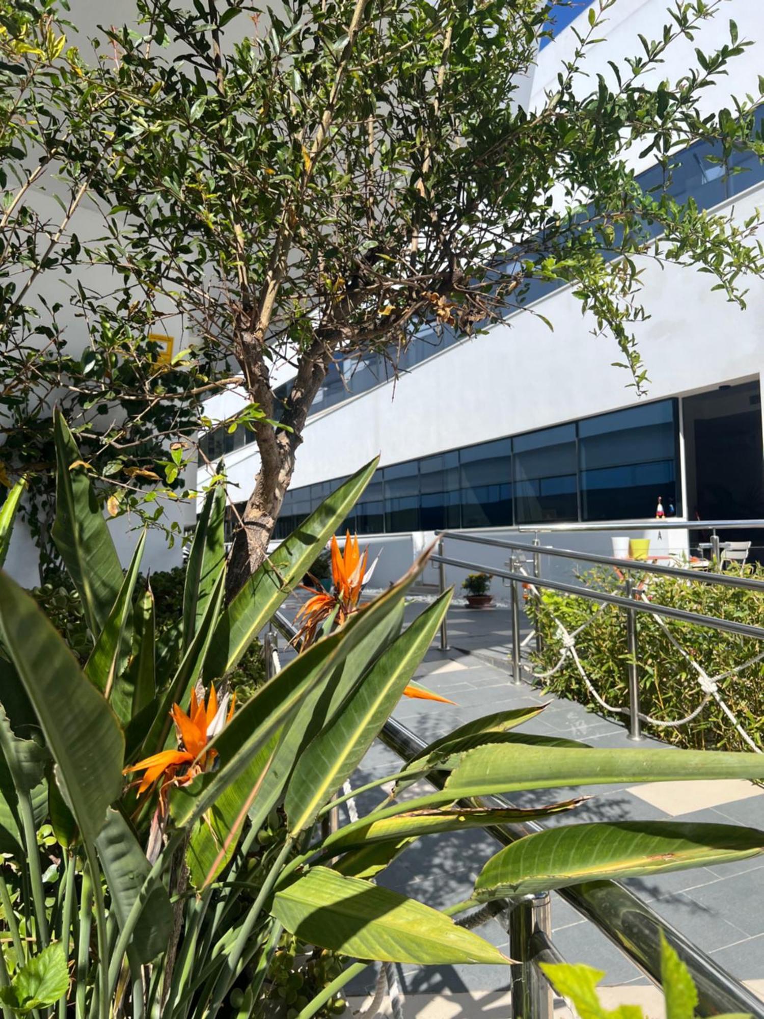 Ancla Real Apartamentos Loft El Puerto de Santa María Eksteriør bilde