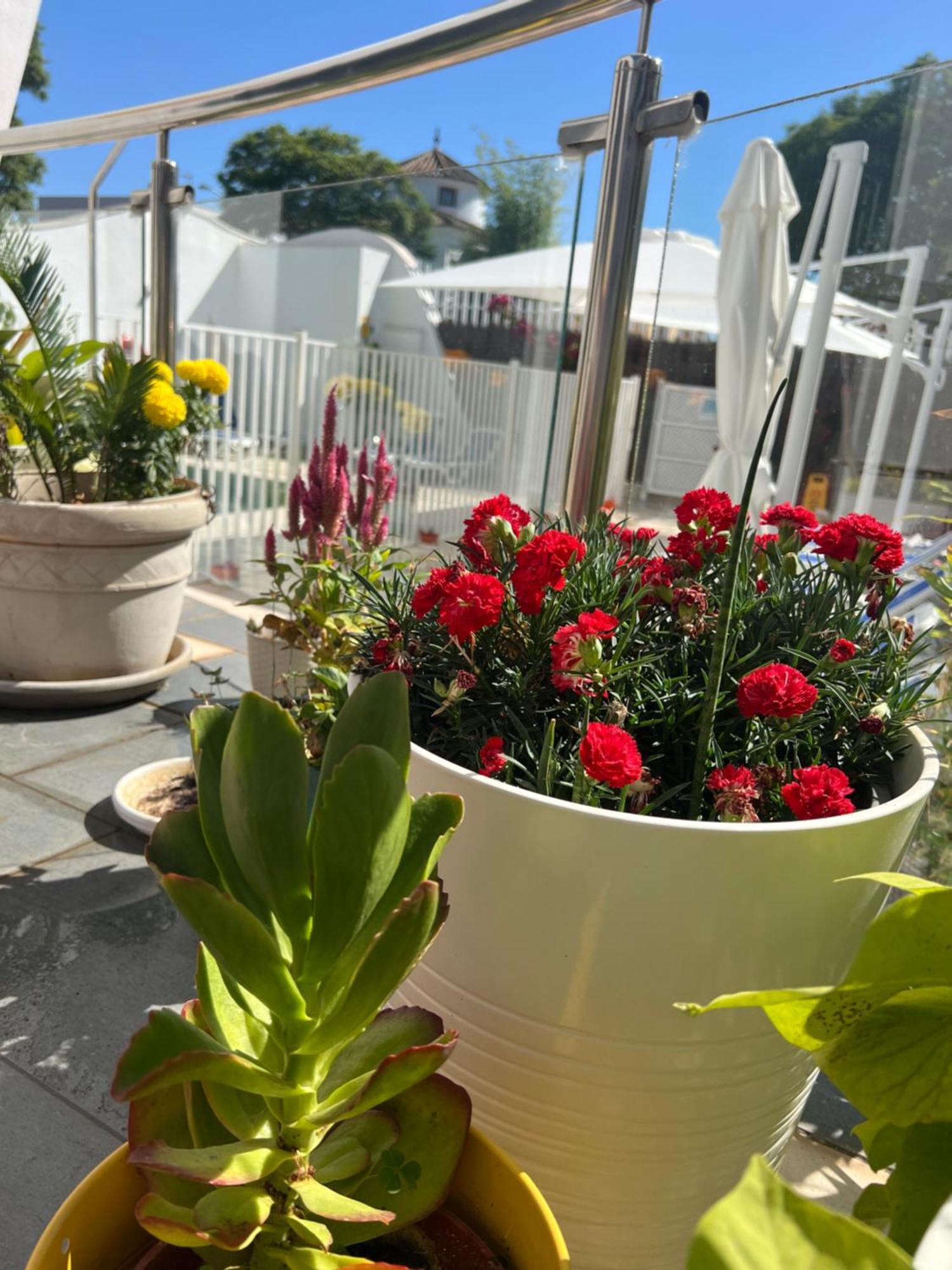 Ancla Real Apartamentos Loft El Puerto de Santa María Eksteriør bilde