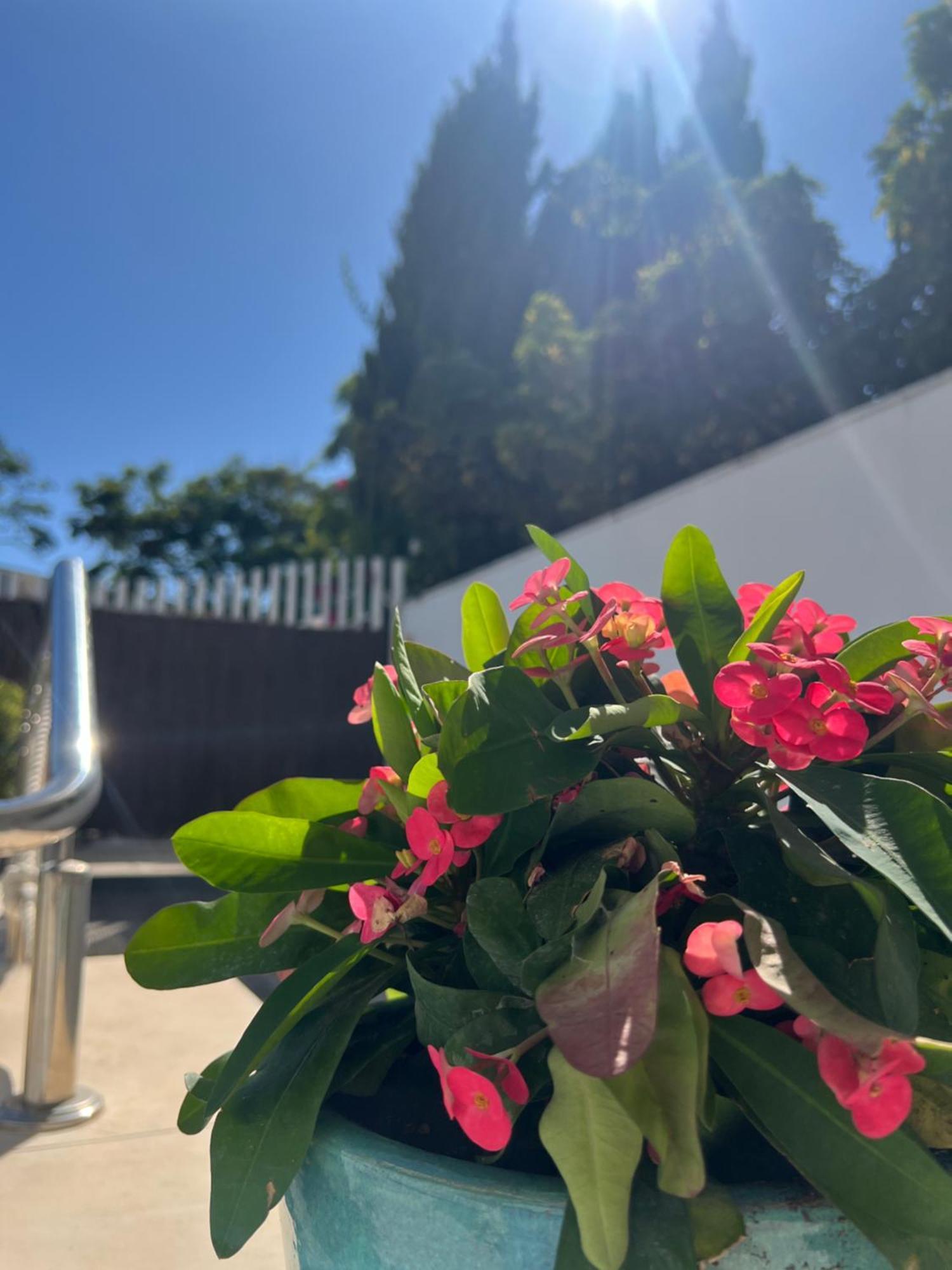 Ancla Real Apartamentos Loft El Puerto de Santa María Eksteriør bilde